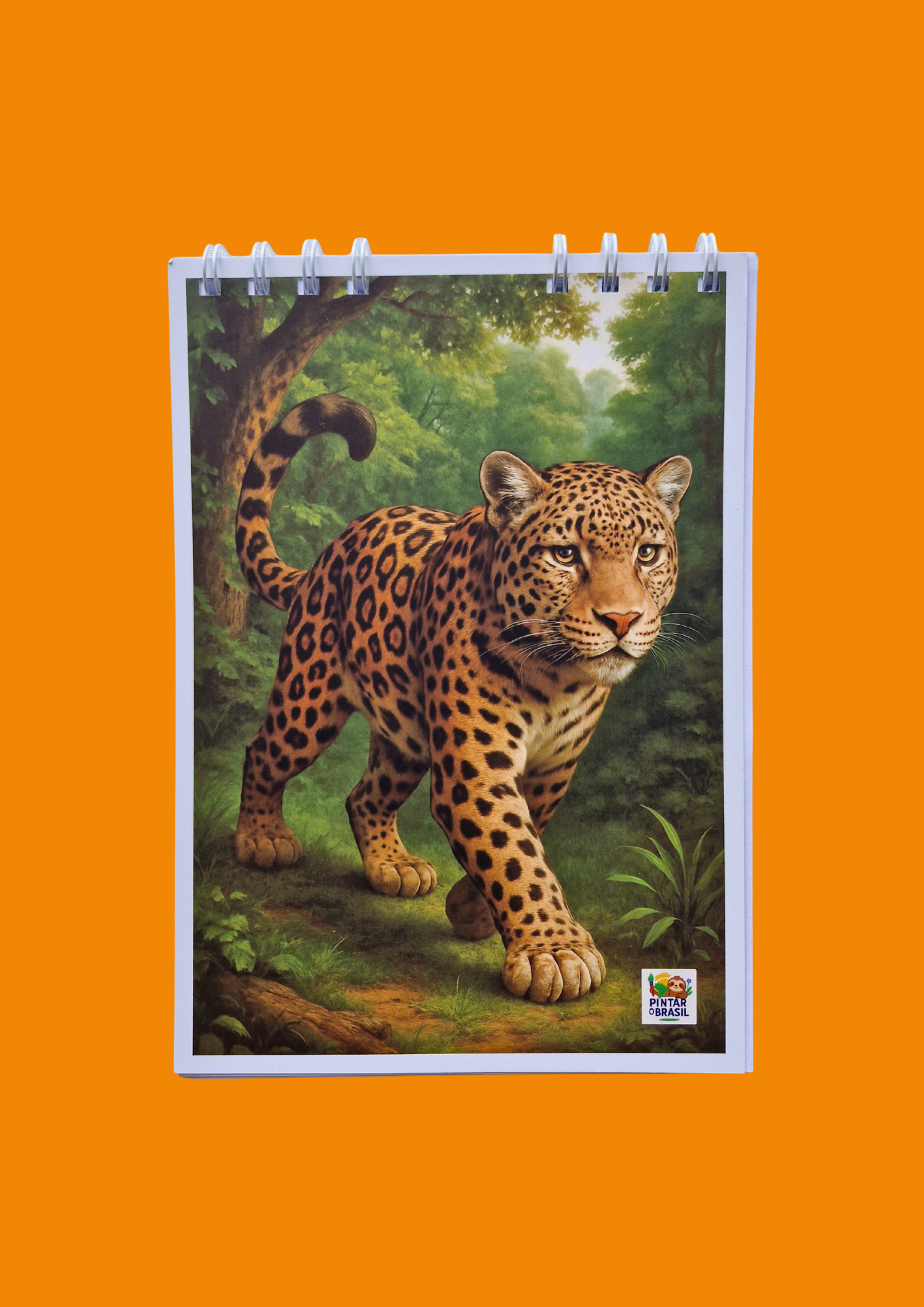 Notepad - Pintar o Brasil (Colouring Brazil) - Jaguar