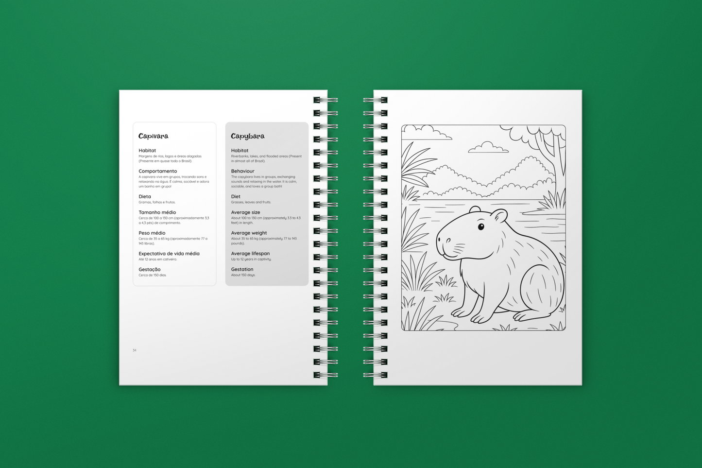 Bichos do Brasil - Brazilian Animals - Bilingual Colouring Book (Portuguese–English)